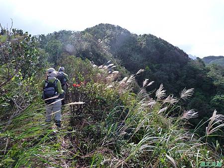 南雅山環行20131108(80)