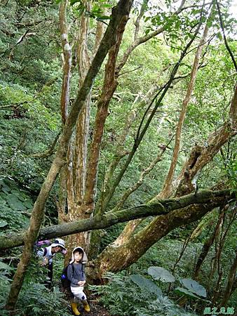 樂佩山20061028(9)