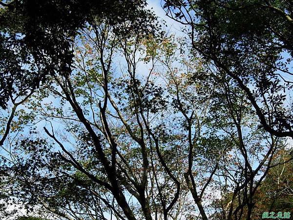 樂佩山20061028(10)