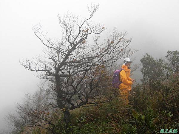 樂佩山20061028(20)