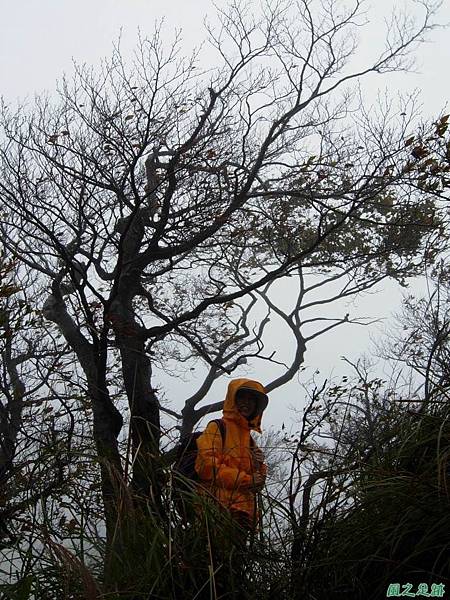 樂佩山20061028(23)