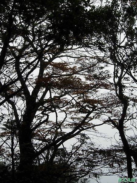 樂佩山20061028(162)