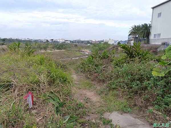 20131214蕃婆墓山(31)