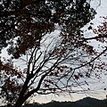 角板山20131229(2).JPG