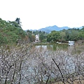 角板山20131229(32).JPG