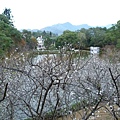 角板山20131229(33).JPG