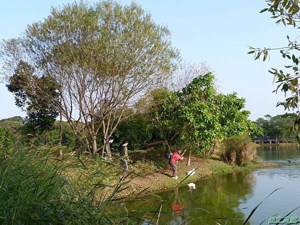 八德埤塘生態公園(33)