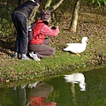 八德埤塘生態公園(34)