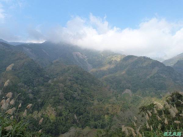 野馬敢山20140111(28)