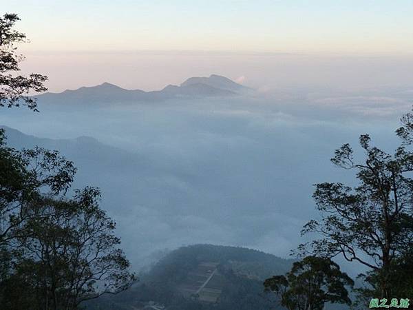 野馬敢山20140111(141)