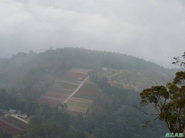 野馬敢山20140111(146)