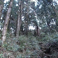 小笠原山20140125(33).JPG