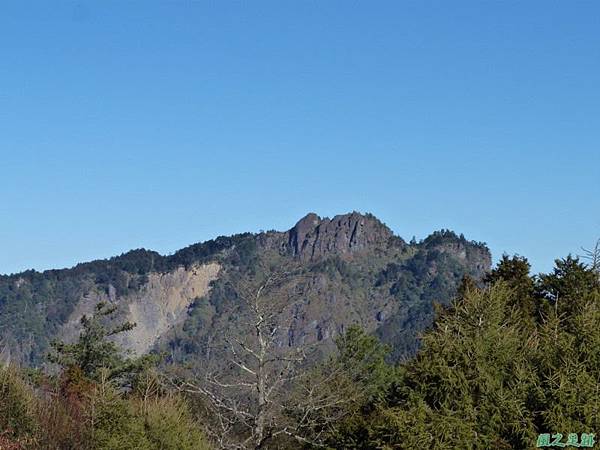 小笠原山20140125(69).JPG