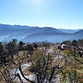 小笠原山20140125(90).JPG