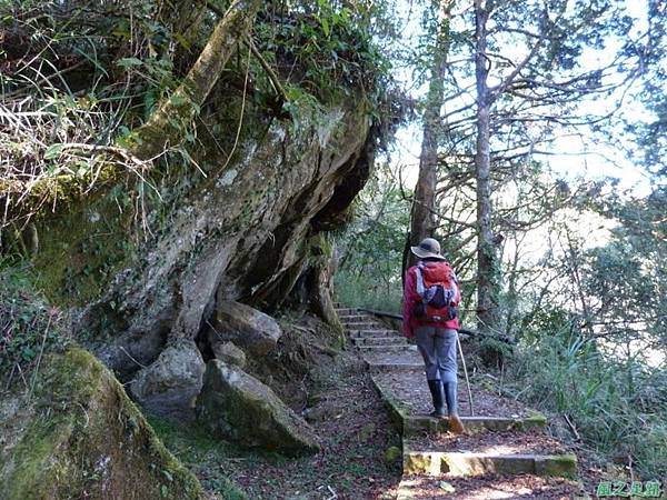 大塔山20140125(33)