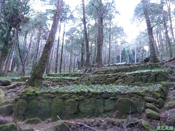 小笠原山20140125(34)