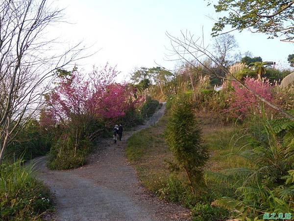 烏嘎彥山20140131(5)