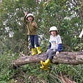 千兩山20051009(63).jpg