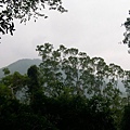 千兩山20051009(74).jpg