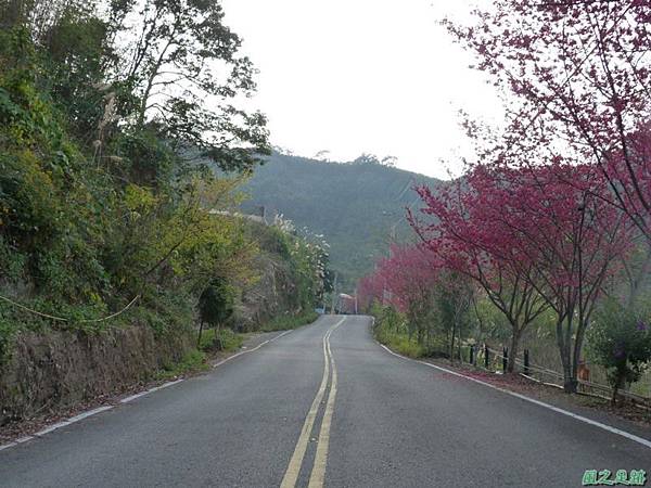 烏嘎彥山20140131(14)