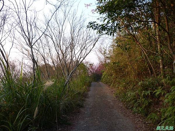 烏嘎彥山20140131(30)