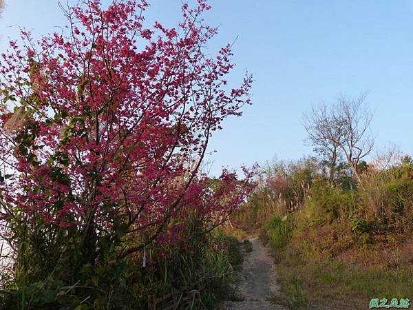 烏嘎彥山20140131(36)