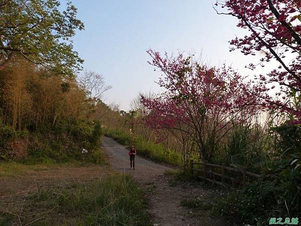 烏嘎彥山20140131(38)