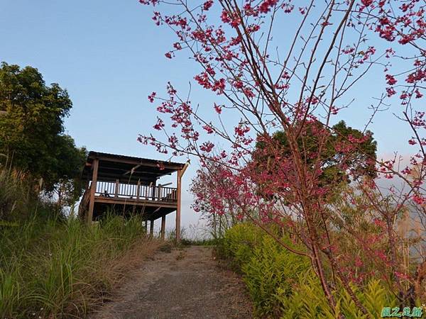 烏嘎彥山20140131(41)