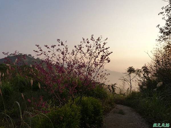 烏嘎彥山20140131(43)