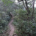 打牛崎步道20140323(20)