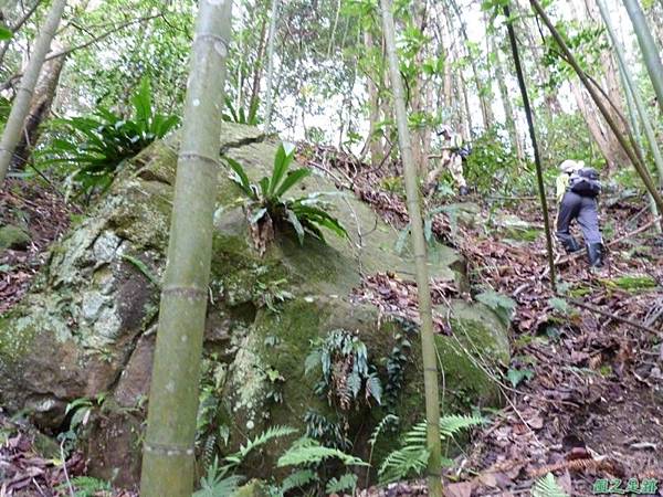 蘇魯山20140329 (3)