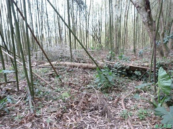 二本松山20140329(15)