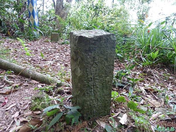 二本松山20140329(21)