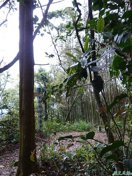 二本松山20140329(26)