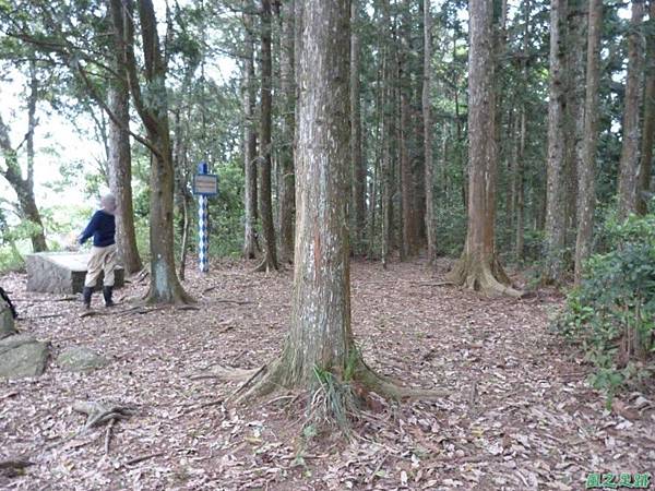 二本松山20140329(39)