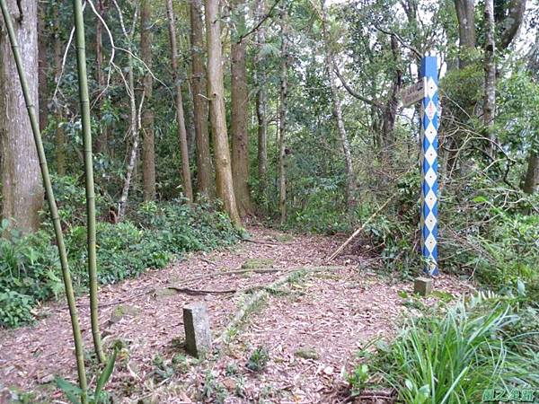 二本松山20140329(48)