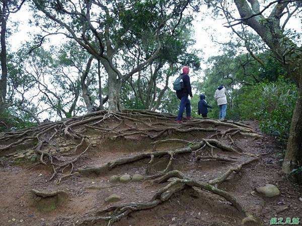 十八尖山20120310(9)