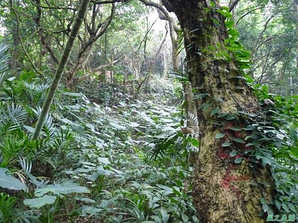 咬狗山20140122(13)