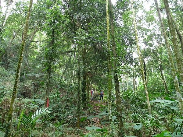 咬狗山20140122(53)