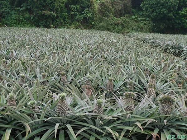 咬狗山20140122(61)