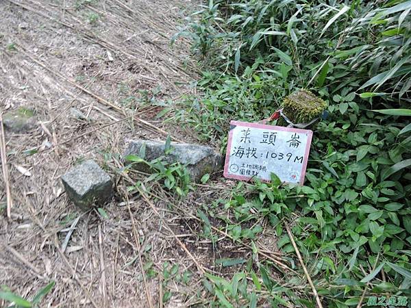 菜頭崙20140524(10)