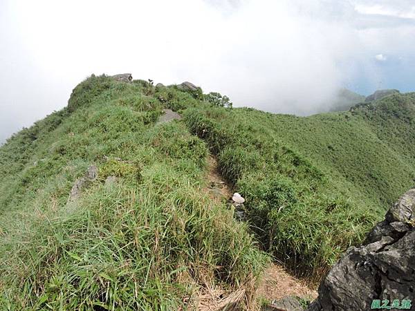 小觀音山主峰環行20140524(2)