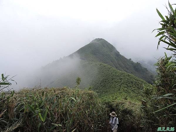 小觀音山火山口20140524(19)
