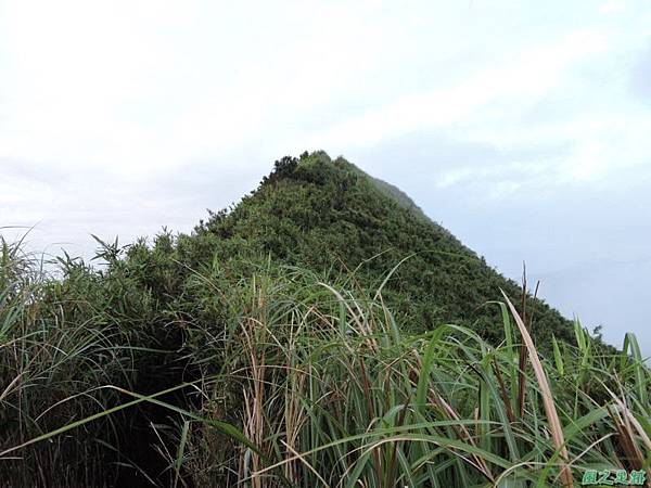 小觀音山環行20140524(221)