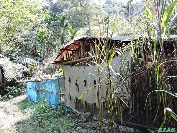 安康蝴蝶生態園20140713(72)