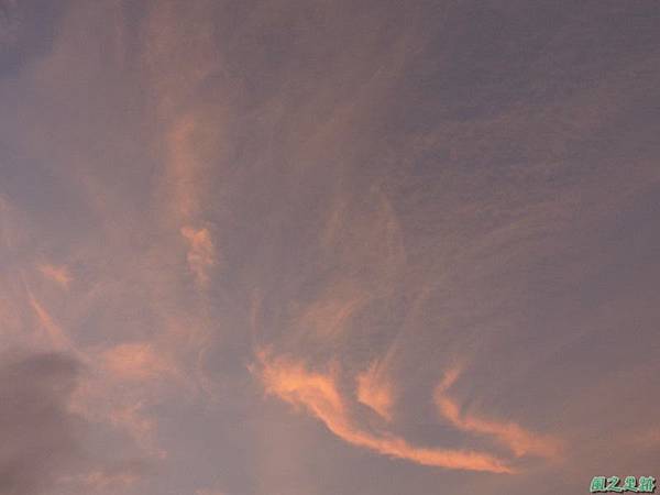 彩霞飛鳥20140801(3)