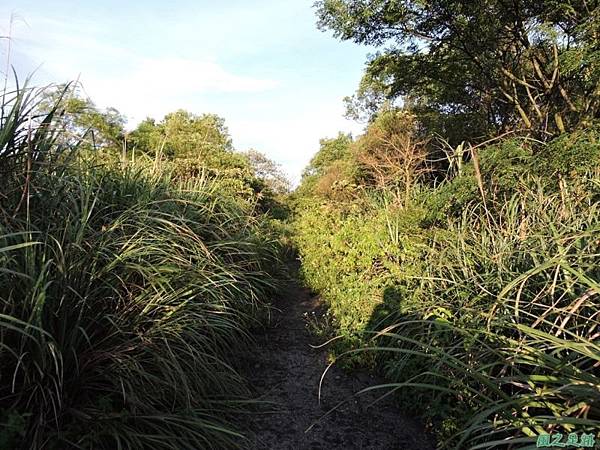 高山頂山20140814(25)