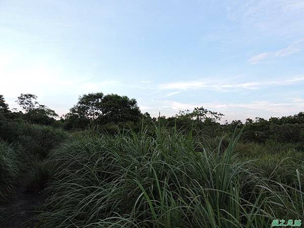 高山頂山20140814(45)