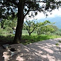 閂岡山20140808(10).JPG