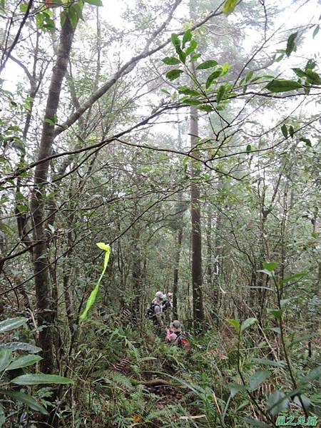 20140906婆羅山(54)